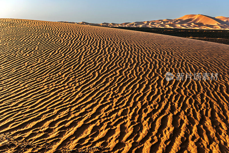 在Erg Chebbi沙漠的沙子，Merzouga，摩洛哥，北非